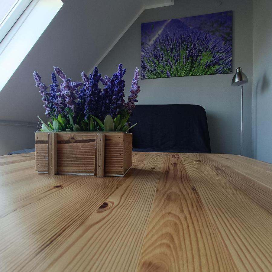 Apartament Morska Lawenda Svinoústí Exteriér fotografie