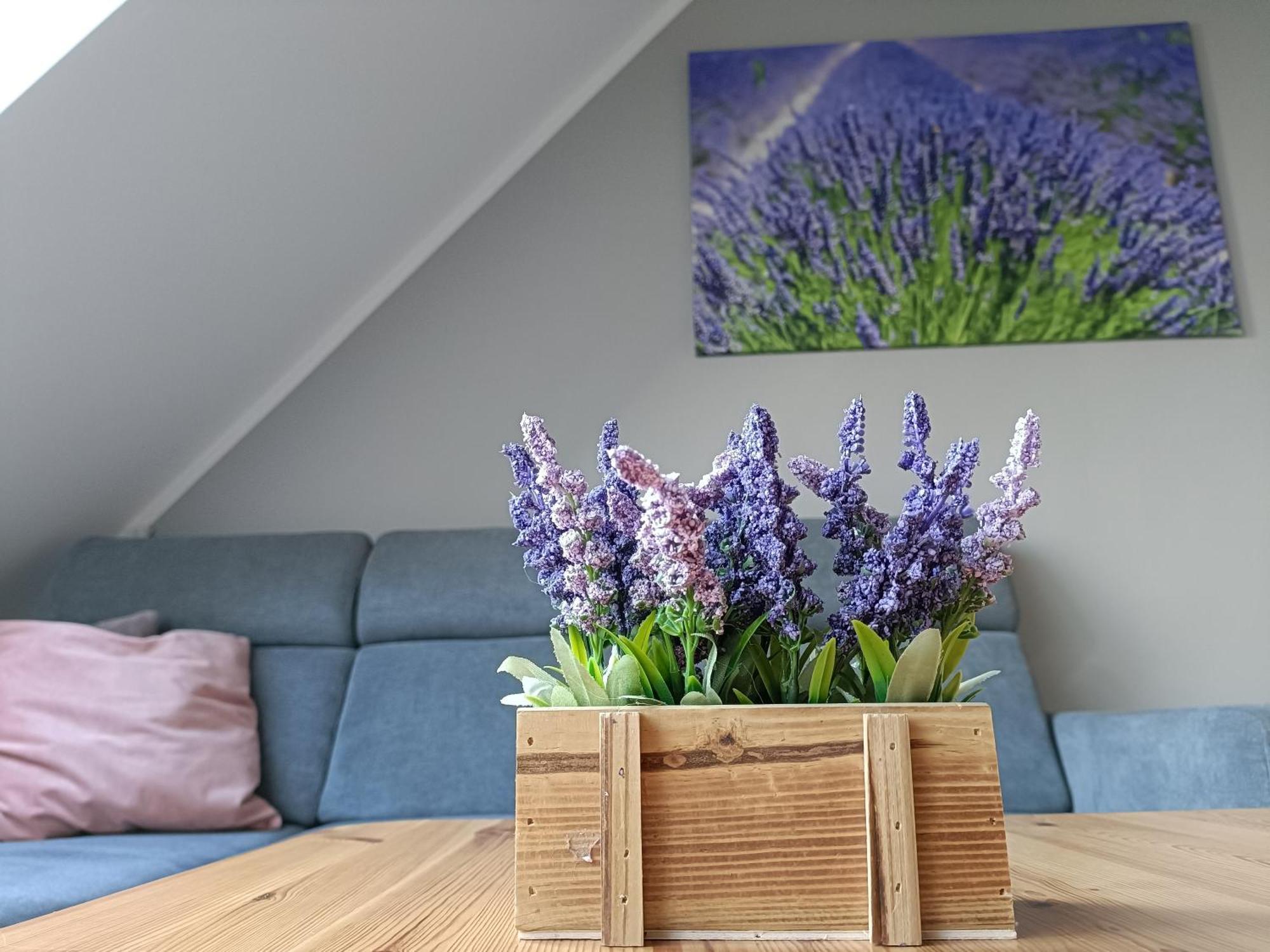 Apartament Morska Lawenda Svinoústí Exteriér fotografie